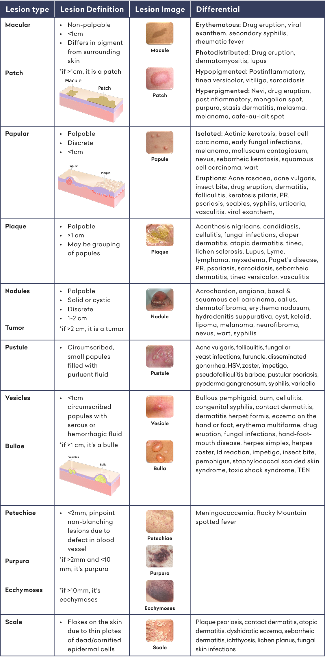 Dermatology Dictionary of Lesions
