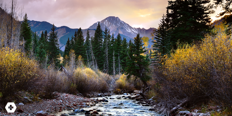 A Dive into Wilderness Medicine